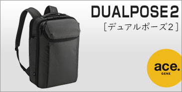 デュアルポーズ