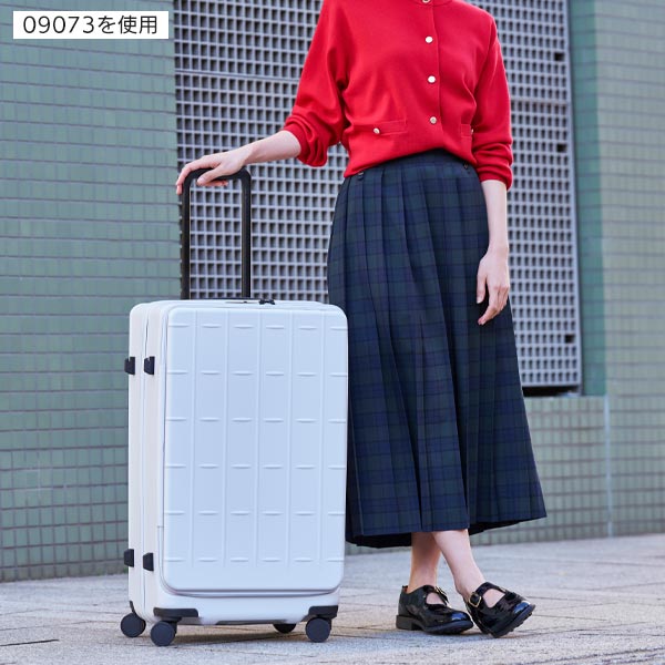 モデル使用
