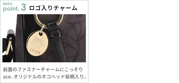 ポイント