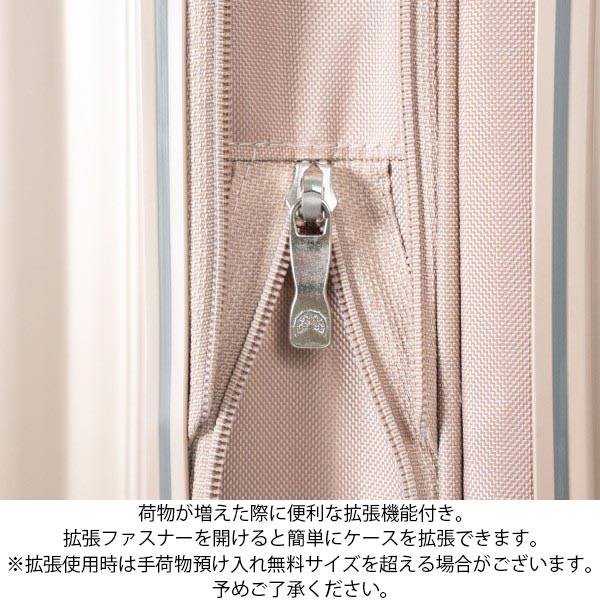拡張機能