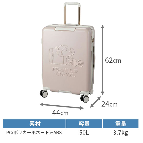 サイズ