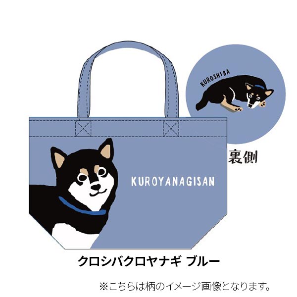 クロシバクロヤナギ ブルー
