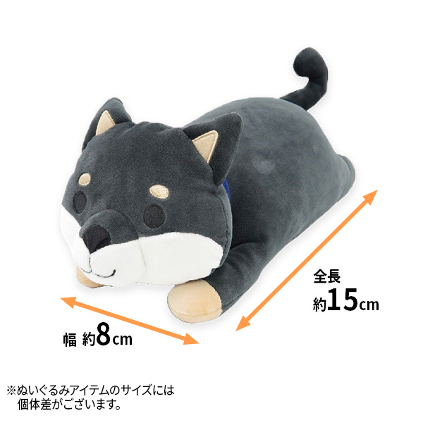 サイズ