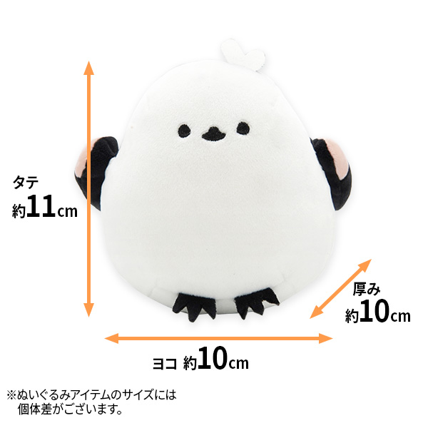 サイズ