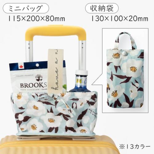 エース HaNT/ハント ココント スーツケース (88L/最大102L) 2WAY収納 フロントオープン 拡張 ファスナータイプ 7～10泊用 手荷物預け入れサイズ 05517