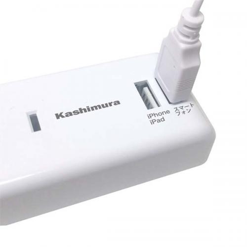 カシムラ 国内・海外兼用2口電源タップ Aタイプ 2USB 2.1A 1m TI-174