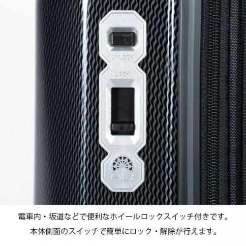 アジアラゲージ アジア・ラゲージ デカかるEdge 拡張タイプ (102L～120L) ファスナータイプ スーツケース キャリーケース Lサイズ LLサイズ 大型 エキスパンダブル 10泊以上用 手荷物預け入れ無料規定内 ALI-089-102