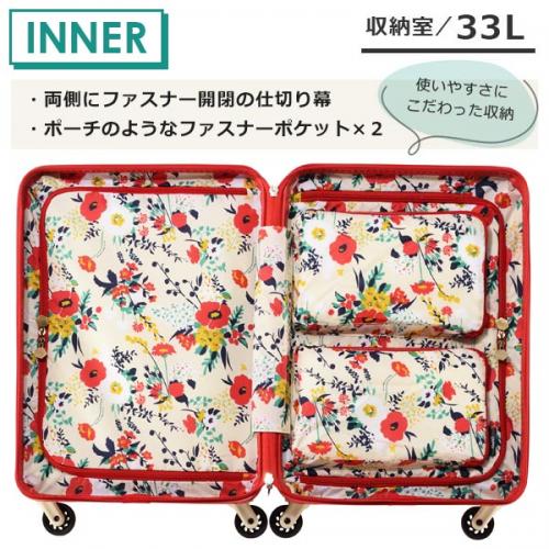 エース HaNT/ハント マイン スーツケース (33L) キャスターストッパー付き ファスナータイプ 2泊用 機内持ち込みサイズ 05745
